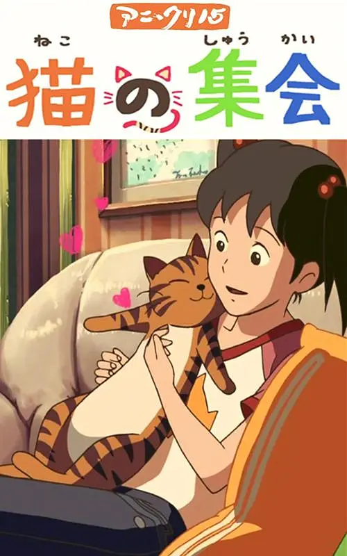 请您原谅我吧